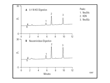 sialic acid analysis