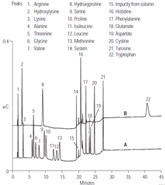 determination protein concentration