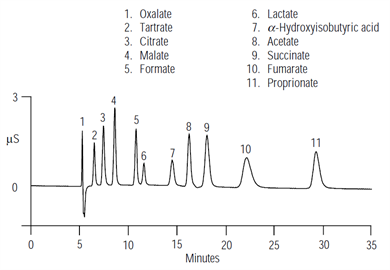 an106 ion ion exclusion chromatography pharmaceutical industry