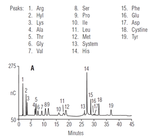 an130 identification a hydroxylysinecontainingpeptide using aaadirect