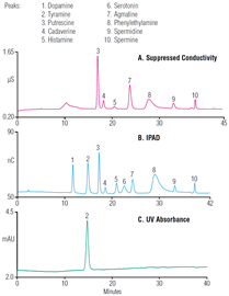 an183 determination biogenic amines fermented nonfermented foods using ion chromatography with suppressed conductivity integrated pulsed amperometric detections