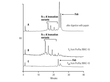 an177 separation an intact monoclonal antibody fractionation monoclonal antibody papain digest fragments imac separation imac fractions