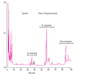 pngase f digestion glycoproteins