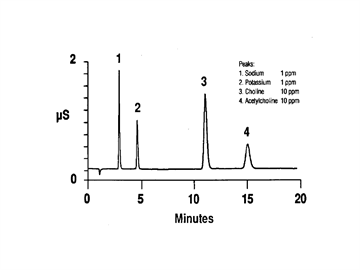 an70 choline acetylcholine