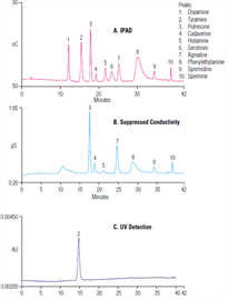 biogenic amines alcoholic beverages