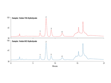 glycoprotein monosaccharide analysis