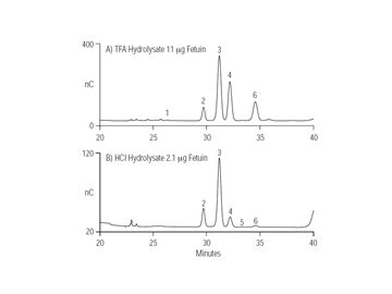 glycoprotein monosaccharide composition analysis