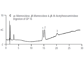 analysis exoglycosidase digestions