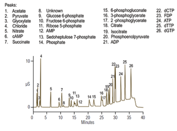 ion chromatography with ms for metabolomics