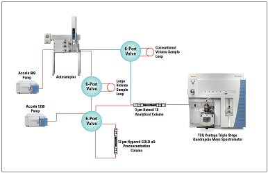 Screening Method for 30 Pesticides in Green Tea Extract Using Automated  Online Sample Preparation with LC-MS/MS - Thermo Scientific AppsLab Library  of Analytical Applications