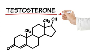 quantitative analysis low testosterone concentrations plasma using tsq quantiva triplestage quadrupole ms