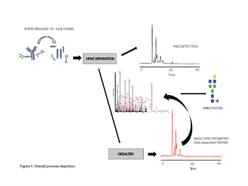 native oligosaccharides analyzed by hpaepadms