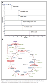 targeted metabolomics oral cancer by ichram ms