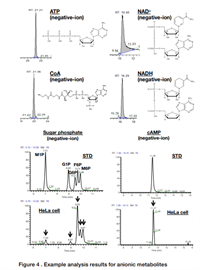 targeted metabolomics ic with high resolution ms