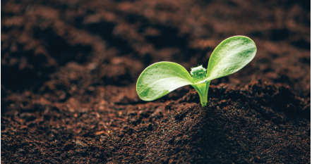 online extraction vocs from soil using gcms