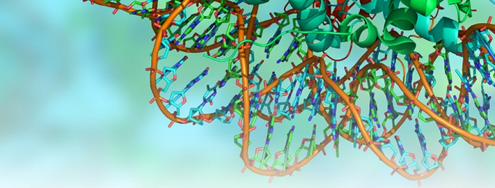 a dualcolumn singlespray configuration for capillary microflow lcms applications