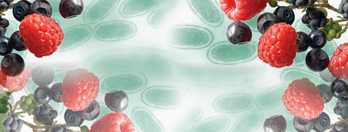 dioxin analysis within food feed