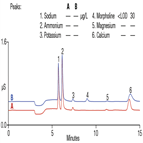 determination morpholine linezolid