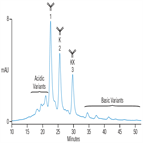 improved monitoring monoclonal antibody heterogeneity by cationexchange chromatography using a thermo scientific propac wcx10 column