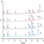 separation organic acids wine