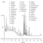 amino acids cell cultures fermentation broths