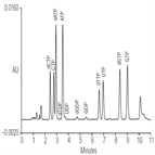 determination nucleotides