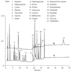 determination protein concentration