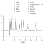 an106 ion ion exclusion chromatography pharmaceutical industry