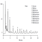 maltodextrins beer