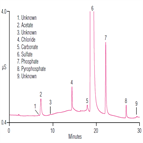 an190 determination sulfate counter ion anionic impurities aminoglycoside drug substances by ion chromatography impurities method