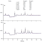 transition metals complex matrices