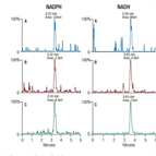 tn149 determination nadh nadph using ion chromatography high resolution accurate mass spectrometry