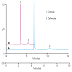 ab140 fast determination inorganic counterions a pharmaceutical drug using highpressure capillary ion chromatography