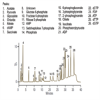 ion chromatography with ms for metabolomics