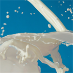 multiresidue automated turbulent flow online lcmsms method for determination antibiotics milk