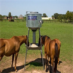 qualitative quantitative analysis pesticides horse feed matrix using orbitrap ms