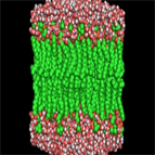 essential lipidomics experiments using ltq orbitrap hybrid mass spectrometer