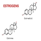 highthroughput lcmsms quantification estrone e1 estradiol e2 human blood plasmaserum for clinical research purposes