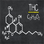 a sensitive efficient method analyze thc thccooh oral fluid using lcmsms forensic toxicology laboratories