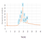 charge variant analysis cetuximab