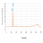 organic impurities analysis cefadroxyl