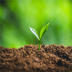 a consolidated method for analysis vocs soil by hsgcms analytical testing laboratories